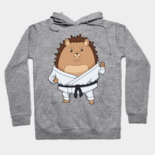 Comic hedgehog doing karate Hoodie